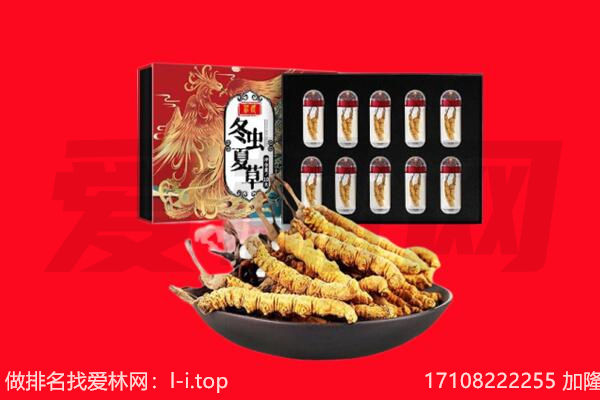 烟台海阳市回收虫草.jpg